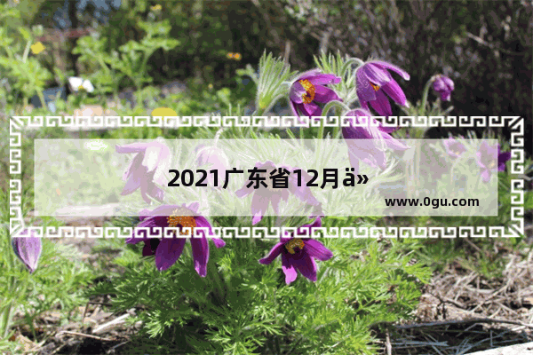 2021广东省12月份展览会信息