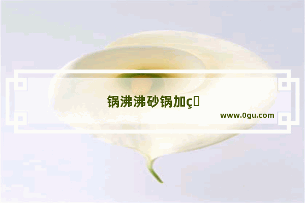 锅沸沸砂锅加盟