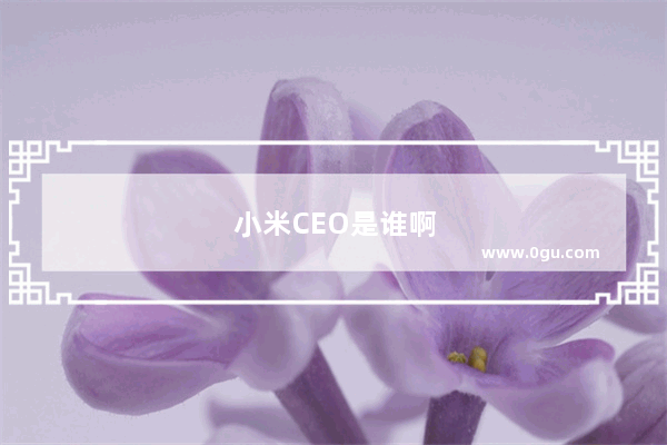 小米CEO是谁啊