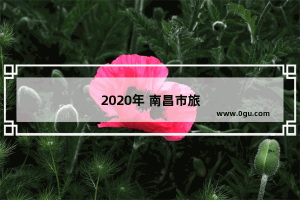 2020年 南昌市旅游接待总人次