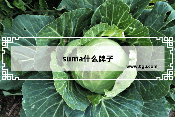 suma什么牌子