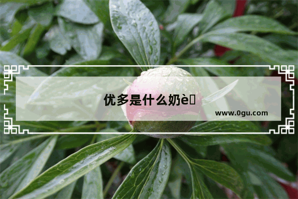 优多是什么奶茶