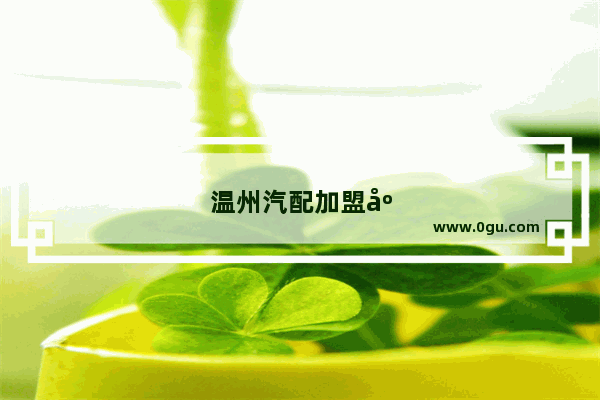 温州汽配加盟店排行榜前十