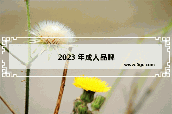 2023 年成人品牌加盟店排行榜