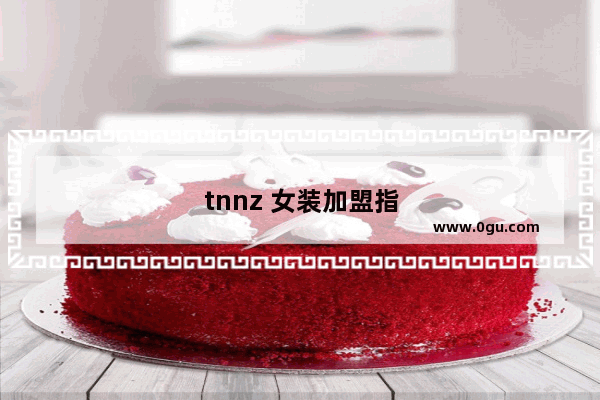 tnnz 女装加盟指南