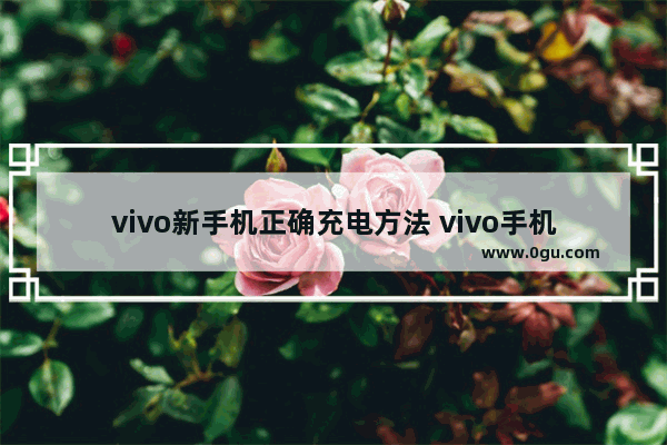 vivo新手机正确充电方法 vivo手机充电