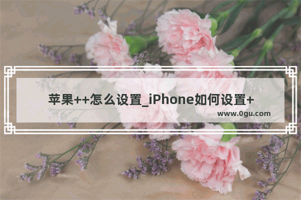 苹果++怎么设置_iPhone如何设置++