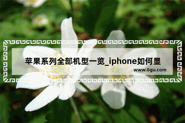 苹果系列全部机型一览_iphone如何显示所有app