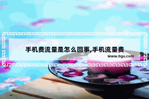 手机费流量是怎么回事,手机流量费