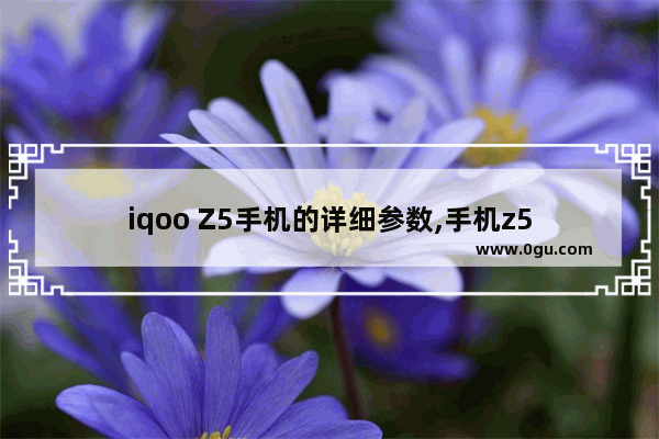 iqoo Z5手机的详细参数,手机z5