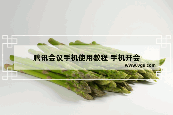 腾讯会议手机使用教程 手机开会