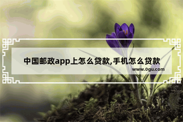 中国邮政app上怎么贷款,手机怎么贷款