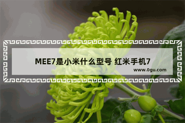 MEE7是小米什么型号 红米手机7