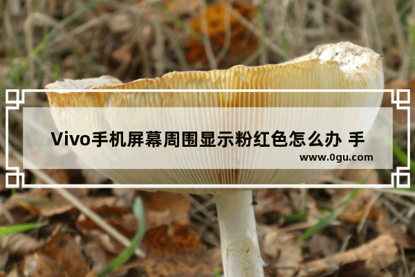 Vivo手机屏幕周围显示粉红色怎么办 手机周边