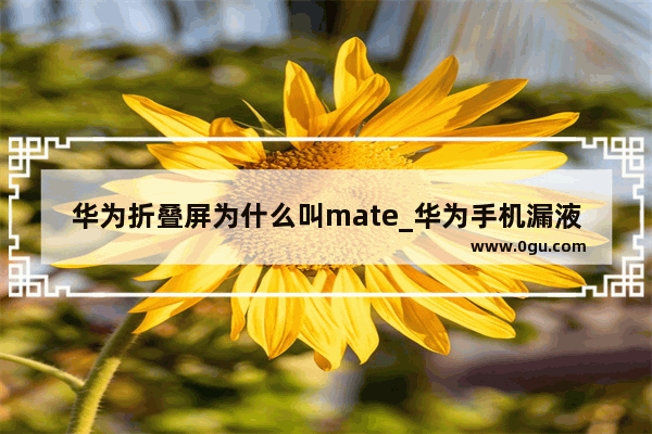 华为折叠屏为什么叫mate_华为手机漏液会一直扩散吗