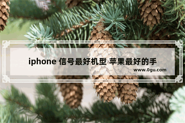 iphone 信号最好机型 苹果最好的手机