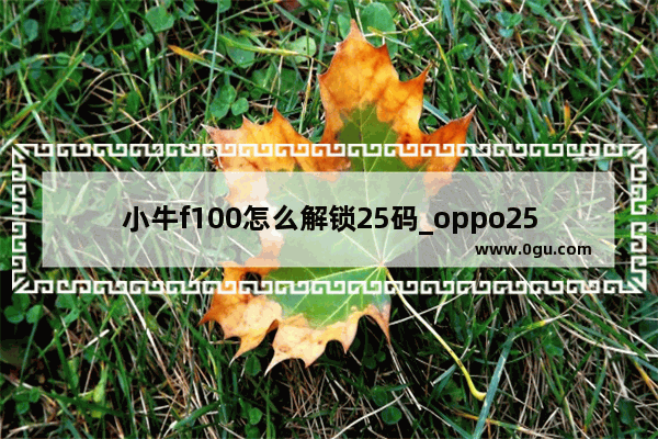 小牛f100怎么解锁25码_oppo25手机参数