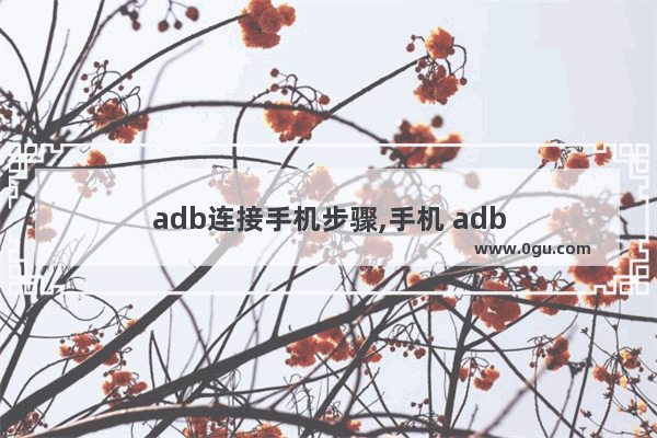 adb连接手机步骤,手机 adb