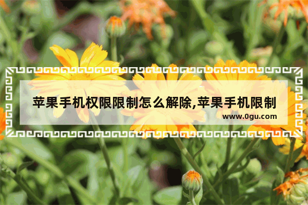 苹果手机权限限制怎么解除,苹果手机限制