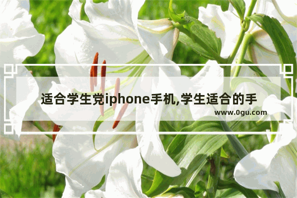 适合学生党iphone手机,学生适合的手机