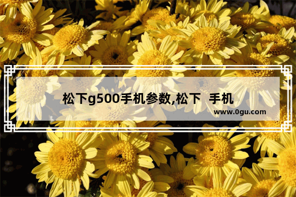 松下g500手机参数,松下  手机