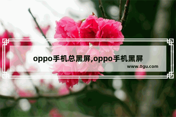 oppo手机总黑屏,oppo手机黑屏