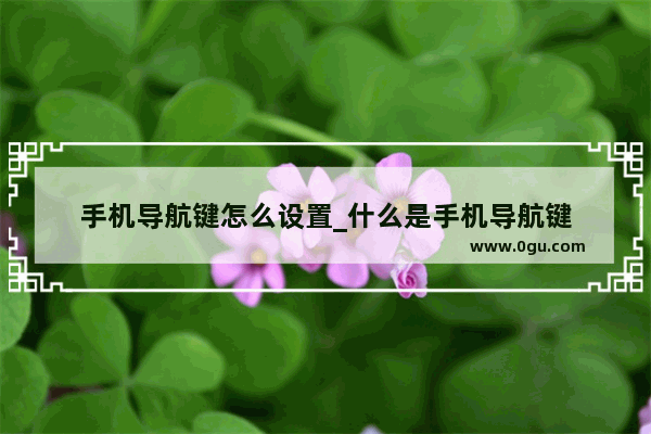 手机导航键怎么设置_什么是手机导航键