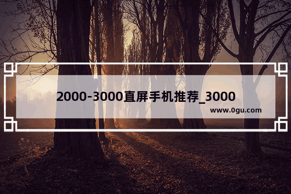 2000-3000直屏手机推荐_3000多的手机算好吗