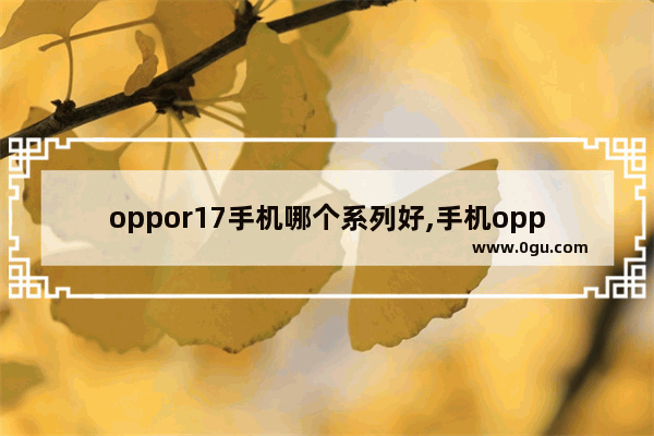 oppor17手机哪个系列好,手机oppor17