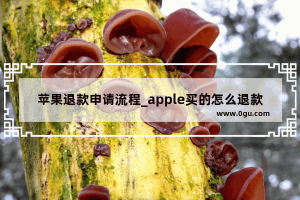 苹果退款申请流程_apple买的怎么退款