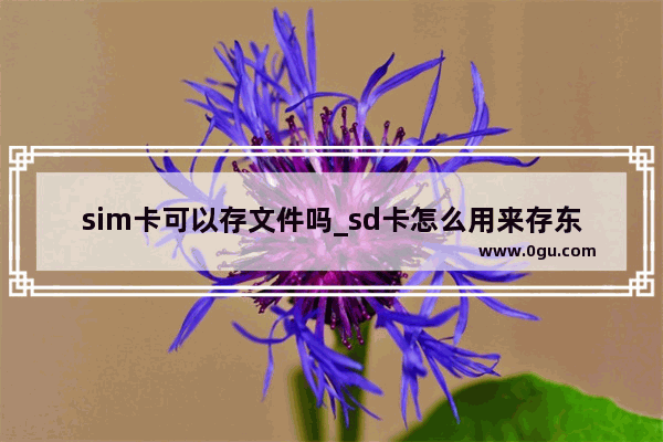 sim卡可以存文件吗_sd卡怎么用来存东西