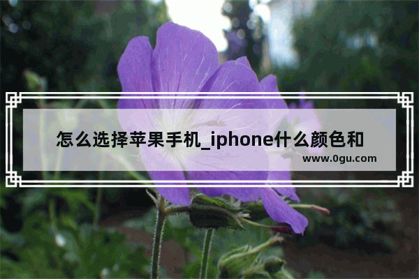 怎么选择苹果手机_iphone什么颜色和型号最好