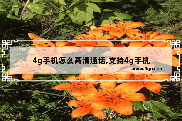 4g手机怎么高清通话,支持4g手机