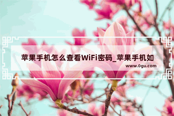 苹果手机怎么查看WiFi密码_苹果手机如何查看wifi密码