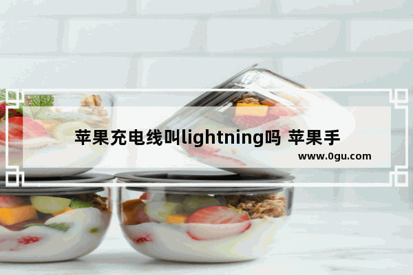 苹果充电线叫lightning吗 苹果手机充电线