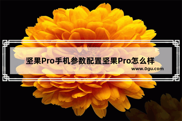 坚果Pro手机参数配置坚果Pro怎么样 坚果pro手机