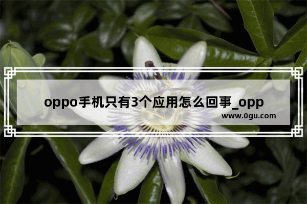 oppo手机只有3个应用怎么回事_oppo3属于手机什么型号