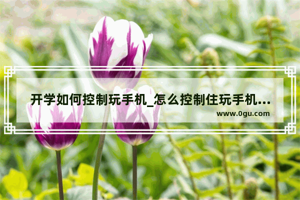 开学如何控制玩手机_怎么控制住玩手机的时间