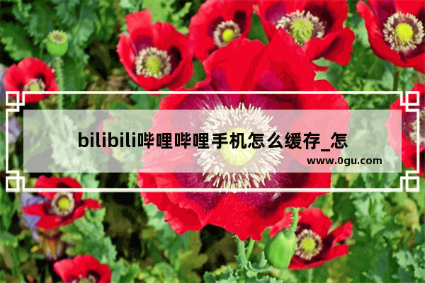 bilibili哔哩哔哩手机怎么缓存_怎么将bilibili的视频导入手机本地