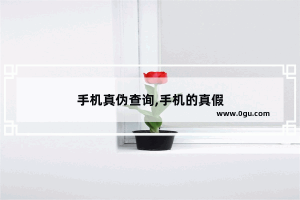 手机真伪查询,手机的真假