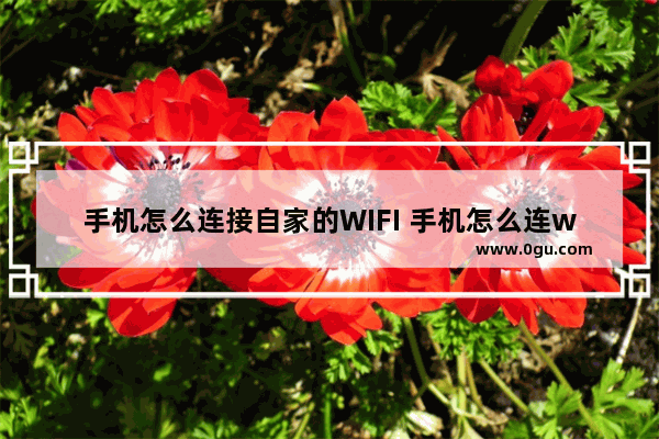 手机怎么连接自家的WIFI 手机怎么连wifi