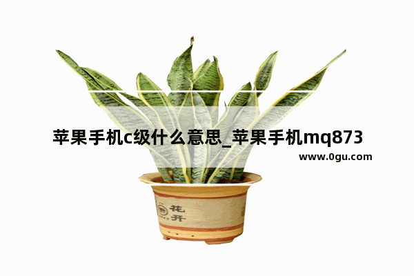 苹果手机c级什么意思_苹果手机mq873c开头是什么版本