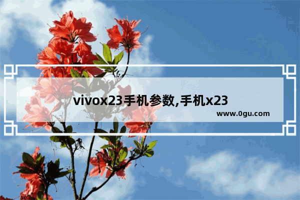 vivox23手机参数,手机x23