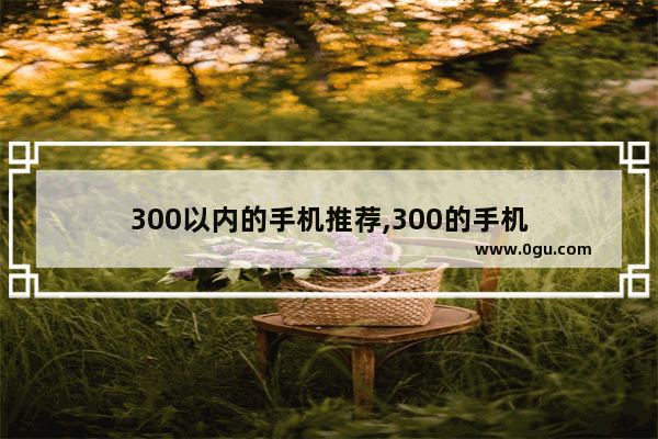 300以内的手机推荐,300的手机