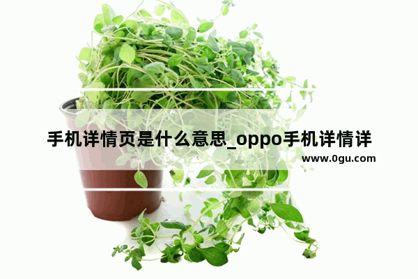 手机详情页是什么意思_oppo手机详情详情咨询怎么关