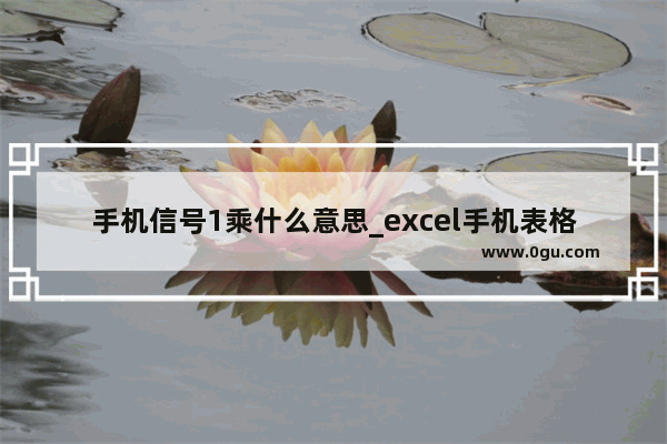 手机信号1乘什么意思_excel手机表格一列数据怎样乘10