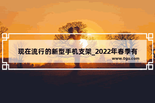 现在流行的新型手机支架_2022年春季有什么新型手机芯片