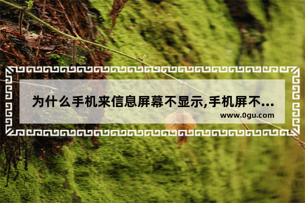 为什么手机来信息屏幕不显示,手机屏不显示