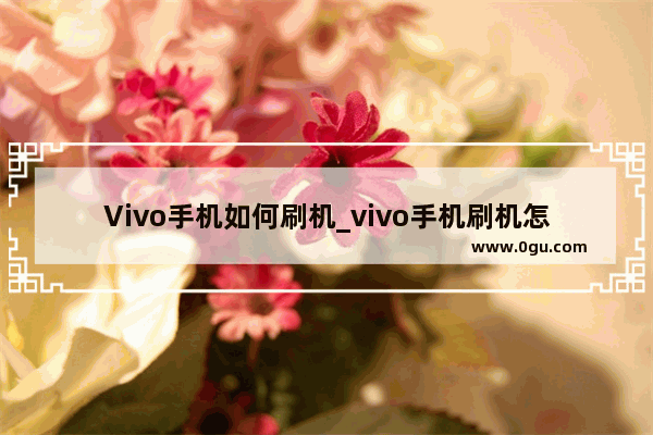 Vivo手机如何刷机_vivo手机刷机怎么刷