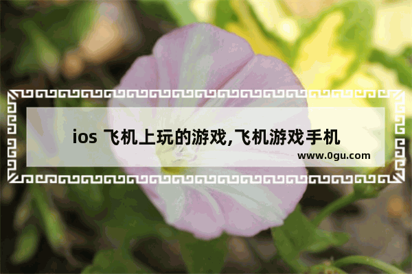 ios 飞机上玩的游戏,飞机游戏手机